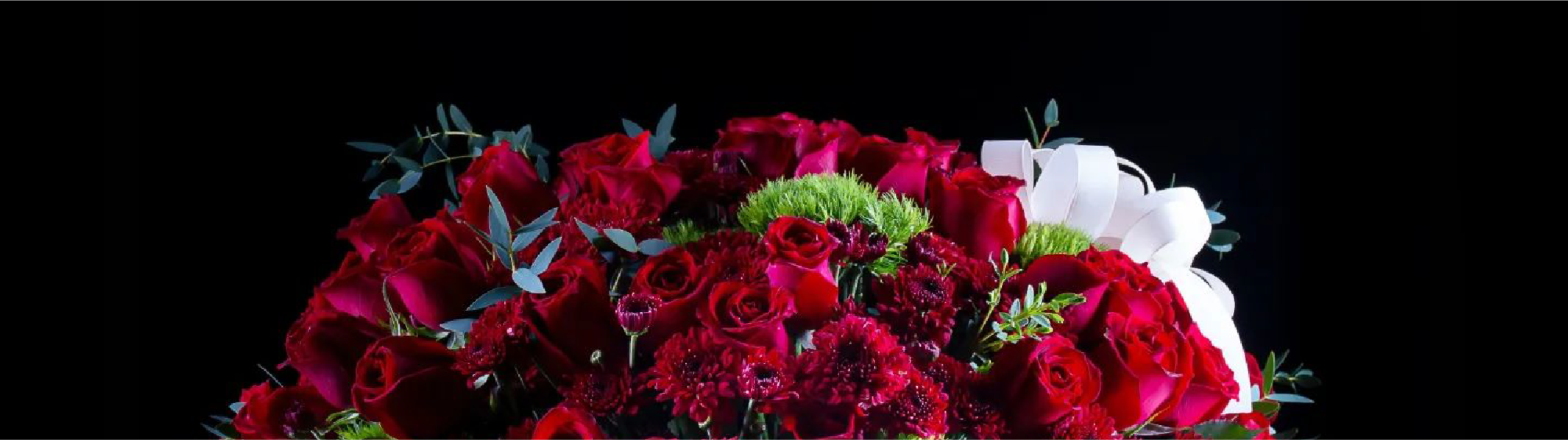 Curso Fundamentos de Fotografía